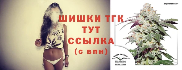шишки Пересвет